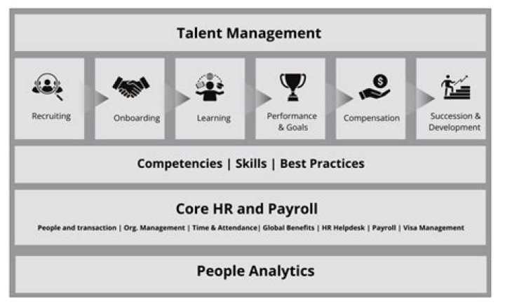 A Journey Of Talent And Financial Success