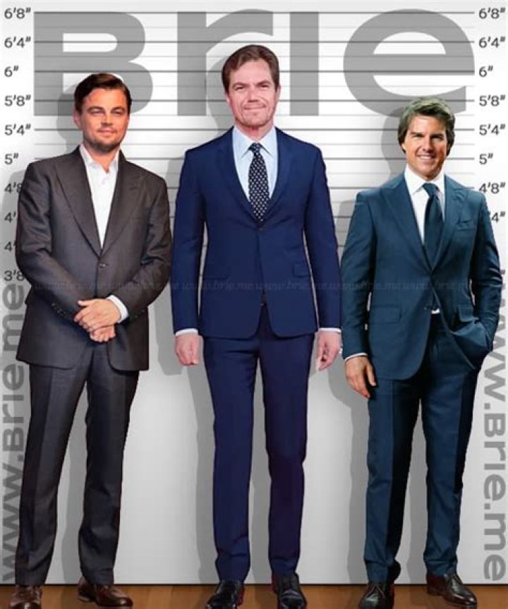 Michael Shannon Height, Weight, Net Worth, Age, Birthday, Wikipedia, Who, Nationality, Biography