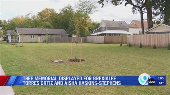 Rasean Patterson And Dahviere Griswold Have Been Arrested For Brexialee Torres Ortizs Murder