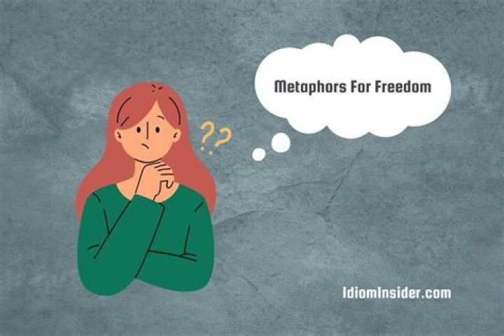 Unlocking New Insights And Perspectives